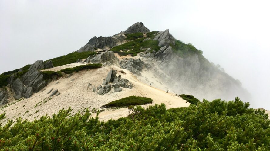 雨の北アルプス・燕岳、コマクサを愛でる