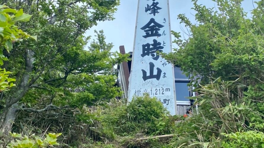 新緑の箱根・金時山